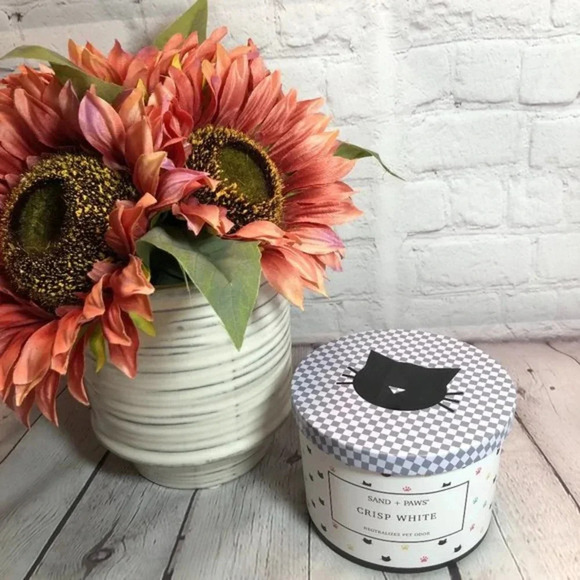 Sand + Paws 12oz candle crisp white cat - Picture 1 of 4